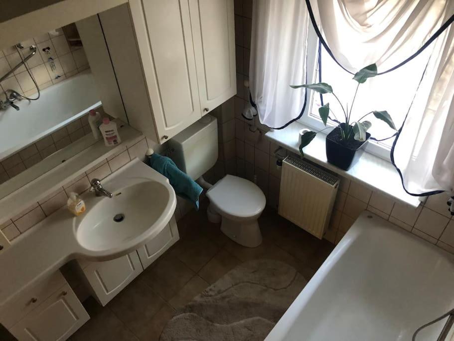 Ferienwohnung In Golssen/Spreewald, Tropical Island Exteriör bild